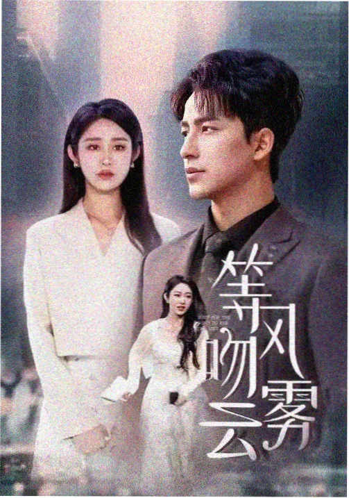 第二次登门剧集海报
